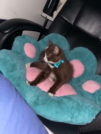 Image 1 of Green Cat Paw Cushion 