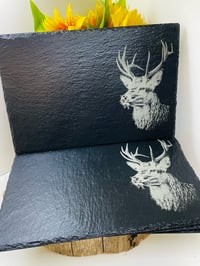 Image 3 of Slate Placemats