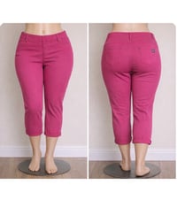 Image 2 of New 20W-22W Terra & Sky Fitted Capri Jegging #811*15