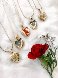 Image 1 of Minimalist Lockets