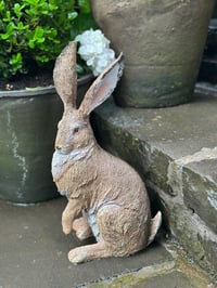 Image 1 of Listening Hare