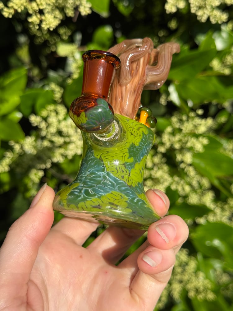 Image of Green Headed Jelly Jammer 