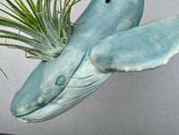Image 1 of  Humpback Whale with Air Plant , Hanging