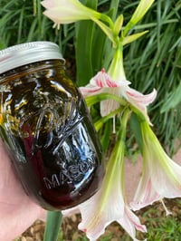Image 3 of 🍯 5-Jar Honey Bundle – Limited Batch, Raw Dark Honey .