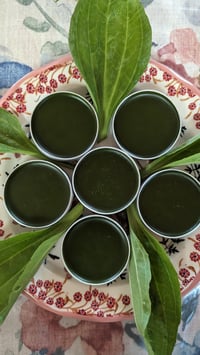 Image 1 of Healing Salve - 1oz