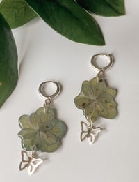 Image 1 of Sommerfugl - Hydrangea Dangles 