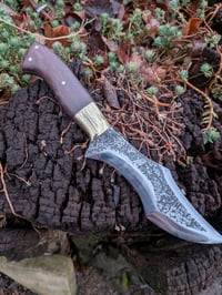 Image 1 of HUNTER #2