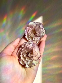 Image 4 of 🤍White Carnations🤍 Studs