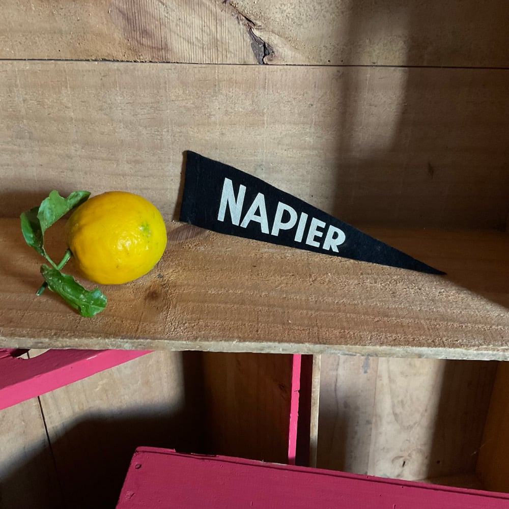 Image of Napier