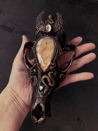 Image 1 of FOREST VVITCH