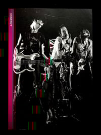 Image 1 of Dennis Morris - Sex Pistols "DESTROY" JP edition 