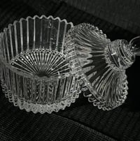 Image 2 of StarGirl Elegance XL Monomer Dish