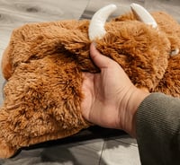 Image 3 of Highland Pillow for all ages 