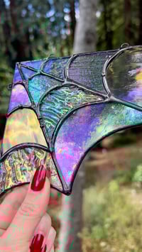 Image 3 of Iridescent Corner Spider Web 