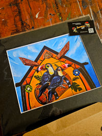 Toucans Sams