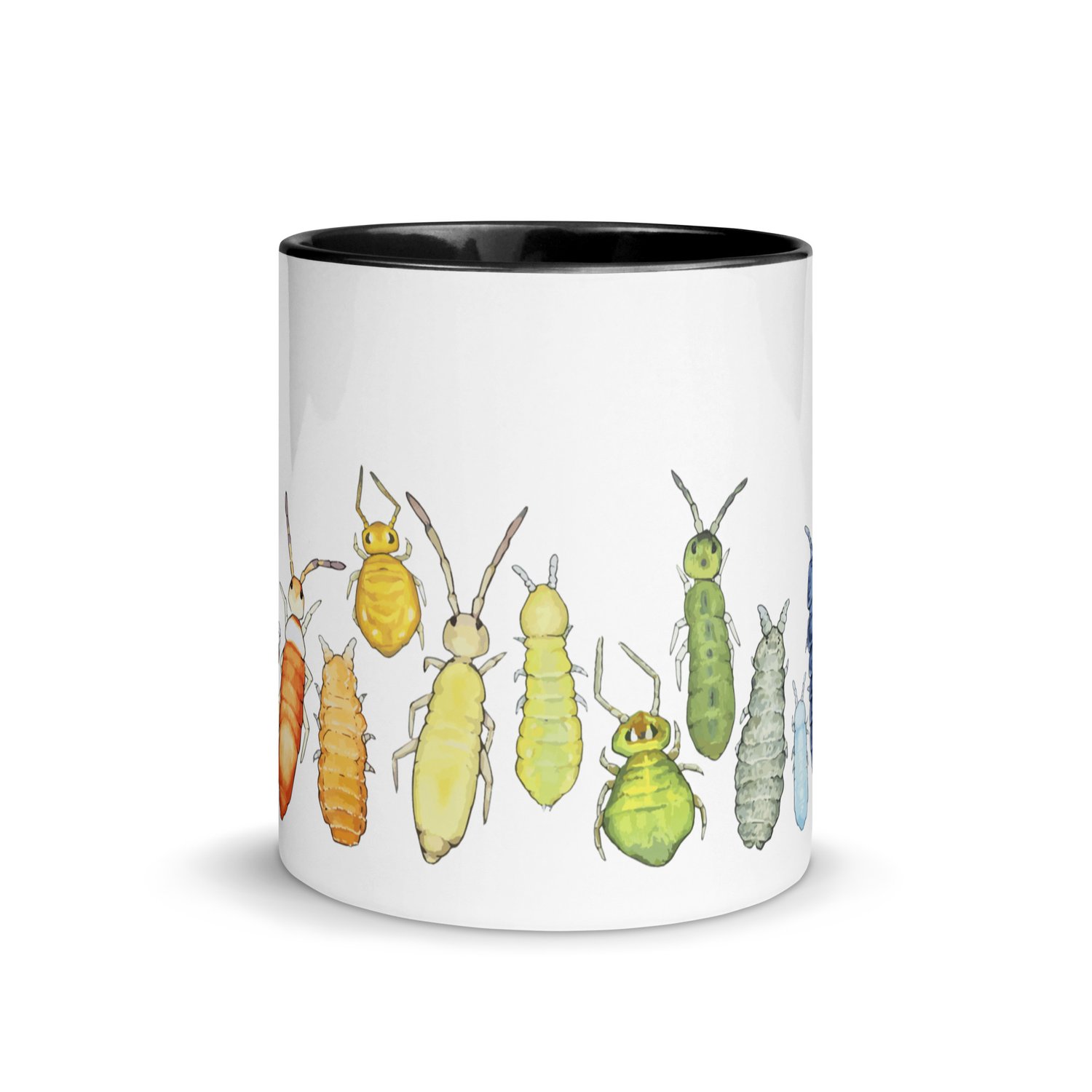 Collembola color wheel mug