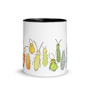 Collembola color wheel mug