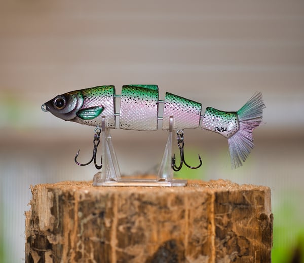 Image of Bull Herring — Rainbow Trout 