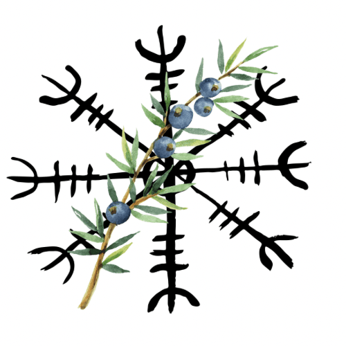 Image of Protection Perfume Oil