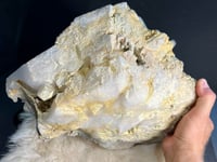 Image 12 of Phantom Quartz Cluster With Chlorite Inclusions Statement Piece #2390