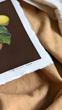 Image 3 of A branch of lemons 