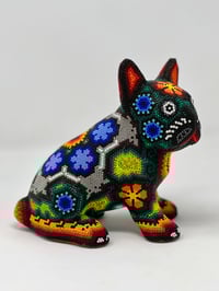 French Bulldog Puppy 007