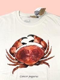 Image 1 of T-shirt GRANCIPORRO