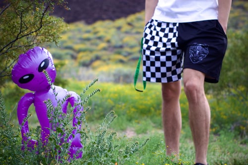Image of Half and Half Checkered Mesh Shorts w/Pockets