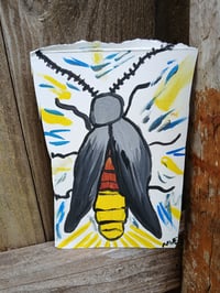 Image 7 of Lightning Bug