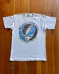 Image 1 of 1993 Summer Tour Sz L 