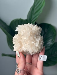 Image 1 of CHOOSE YOUR OWN BULGARIAN CALCITE