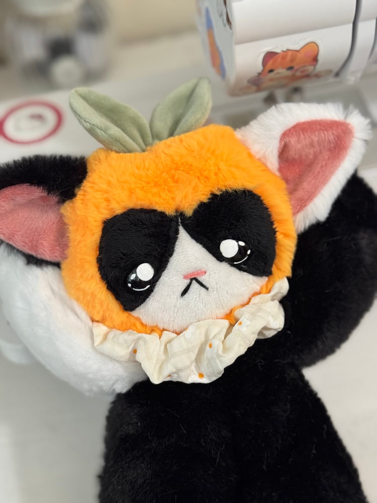 Image of tangerine ππββ¬
