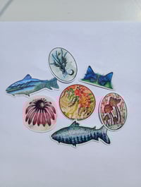 Image 1 of Mysticker Mystery Pack of 4 | Value Vinyl Decal Bundle | Surprise Gift Set