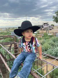 Image 2 of Striped Cowboy