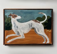 Sighthound on the run