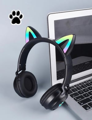 Cat headphones 