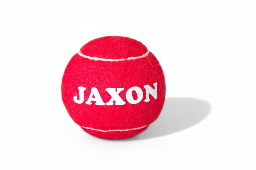 Image of Personalized Tennis Ball Toy - Red