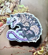 Image 2 of Oppossum Momma Sticker