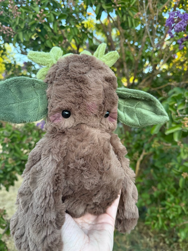 Image of leafy dweller