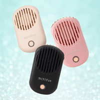 Mini Fans