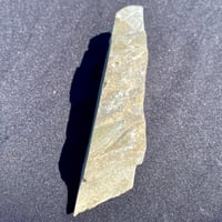 Image 2 of Large Nephrite Jade with Pyrite cross section