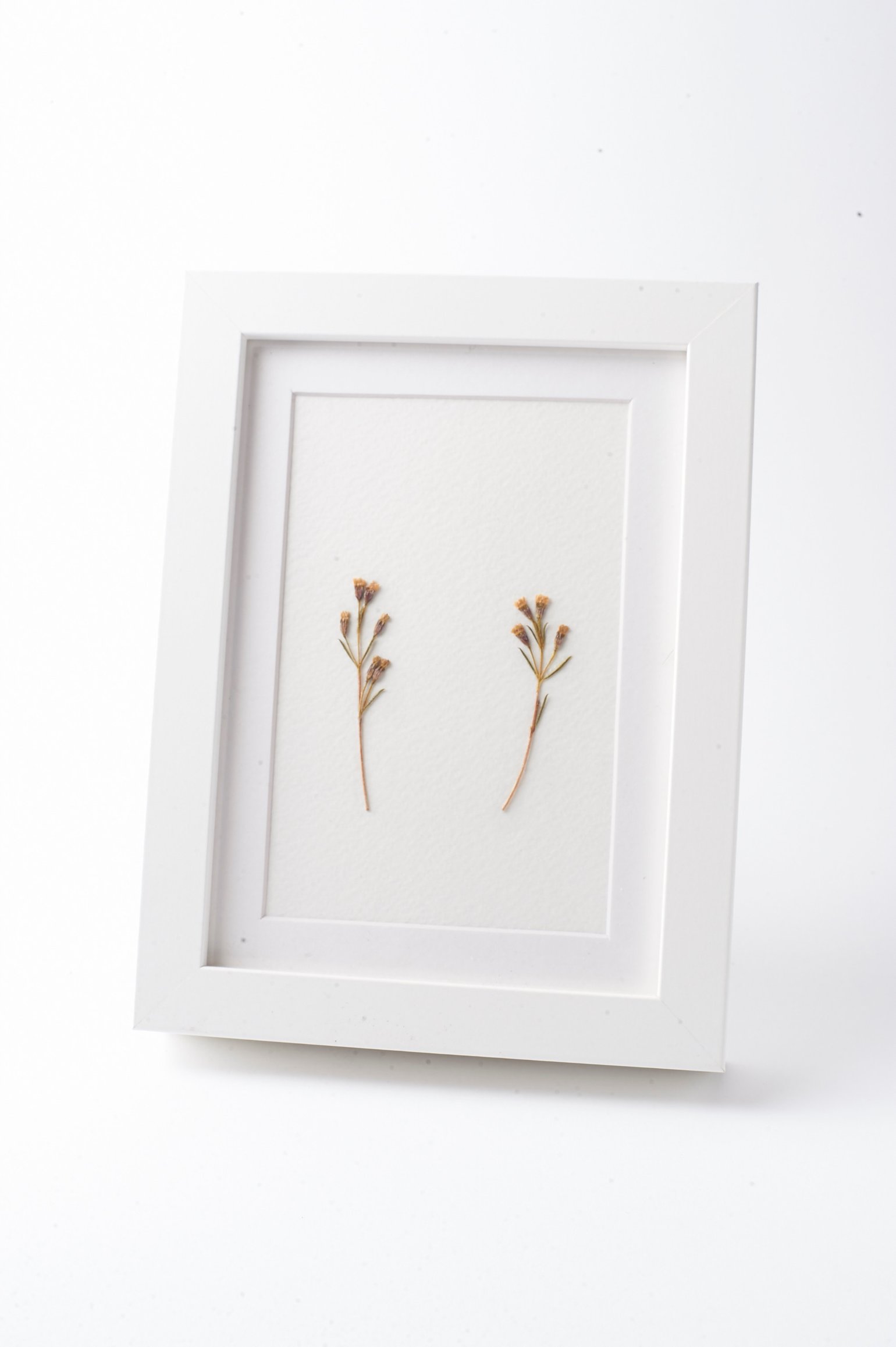 Image of Wax Flowers