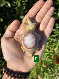 Image 4 of Turtle Crystal Carving 