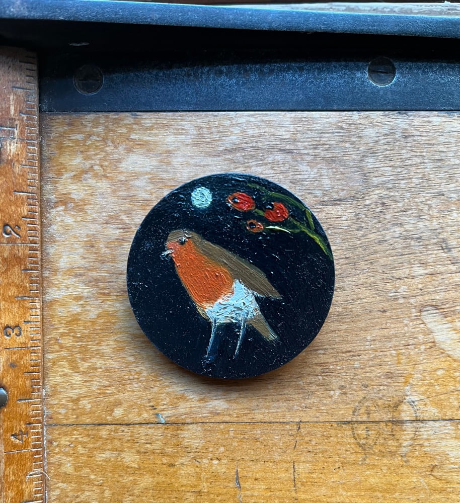 Image of robin and rosehips 