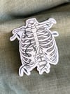 'Ribcage' Sticker