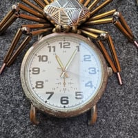 Image 2 of Watch spider (4.5 x 6 inches)