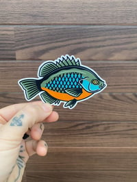 Bluegill Sticker