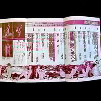 Image 5 of SM Secret Novel 1980 #4