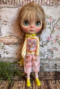 Image 1 of Blythe Spring set 24