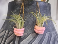 Image 2 of Airplant Earrings